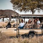 Best Places to Go on Safari in Africa