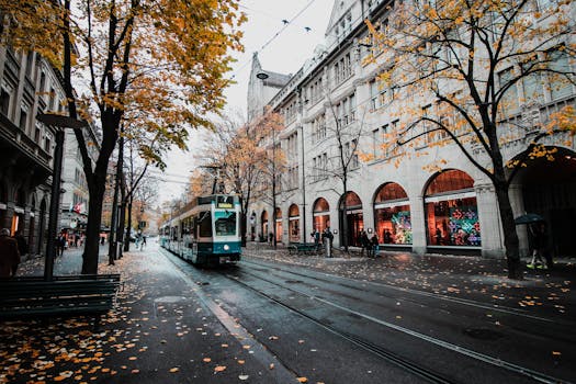 A tram travels down a leaf-strewn street in autumnal Zürich, Switzerland's urban landscape.